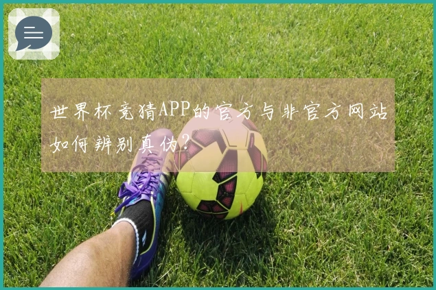 世界杯竞猜APP的官方与非官方网站如何辨别真伪?