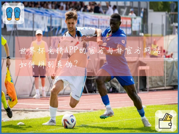 世界杯竞猜APP的官方与非官方网站如何辨别真伪？
