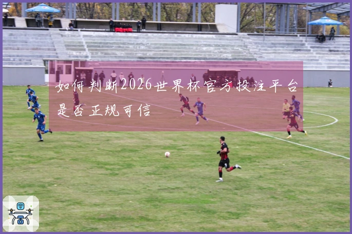 如何判断2026世界杯官方投注平台是否正规可信