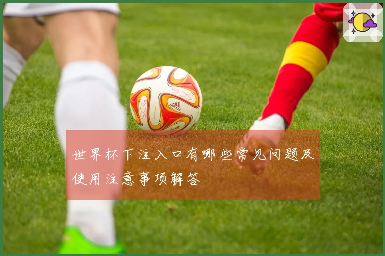 世界杯下注入口有哪些常见问题及使用注意事项解答